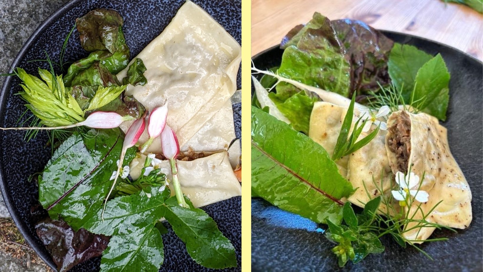 Maultaschen with Lentils, Pear, and Radicchio - The Global Bean Project
