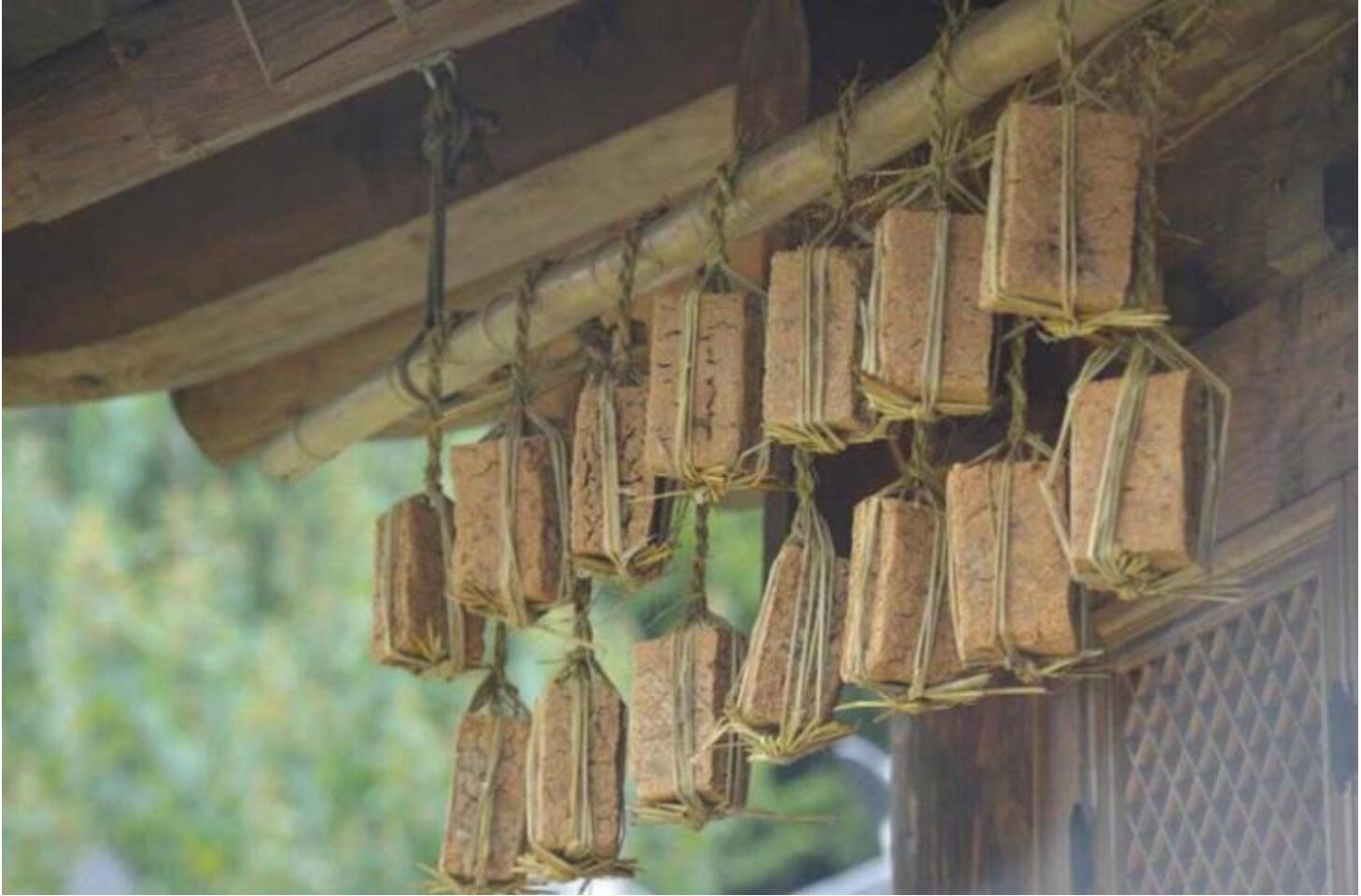 Korea’s Bean Culture