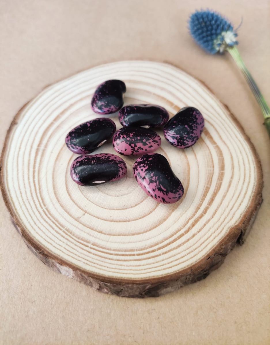 Bean-Feijoes-patola-roxo-©Andreia-Belchior Bean-Feijoes-patola-roxo-©Andreia-Belchior