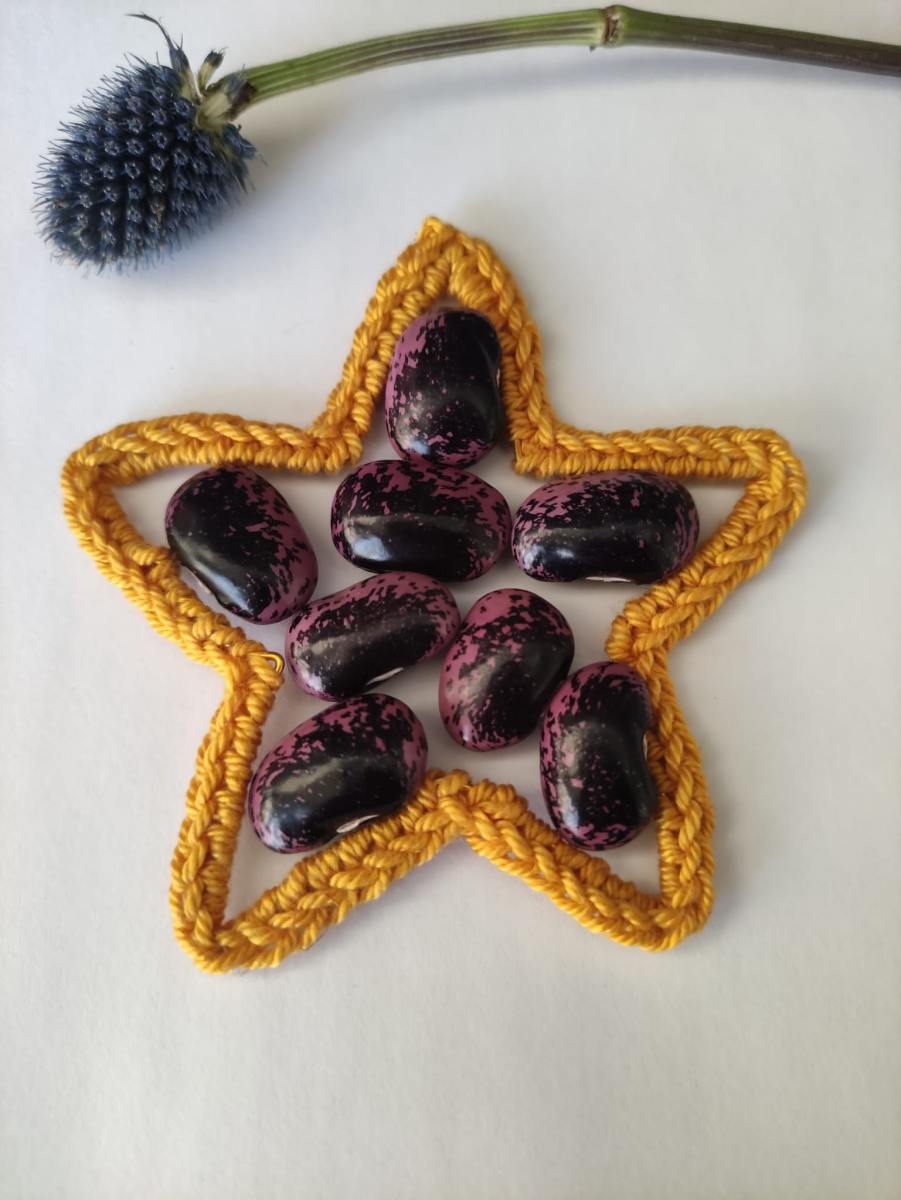 Bean-Feijoes-patola-roxo2-©Andreia-Belchior Bean-Feijoes-patola-roxo2-©Andreia-Belchior