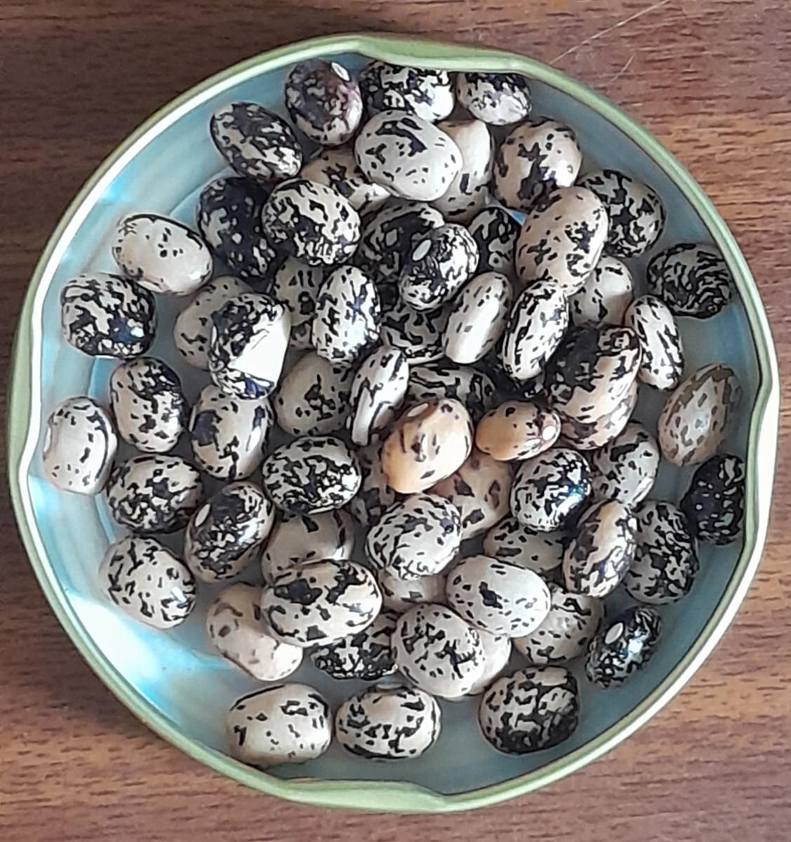 Bean-Gebsema-Adenguware-©GPDA-Ethiopia Bean-Gebsema-Adenguware-©GPDA-Ethiopia