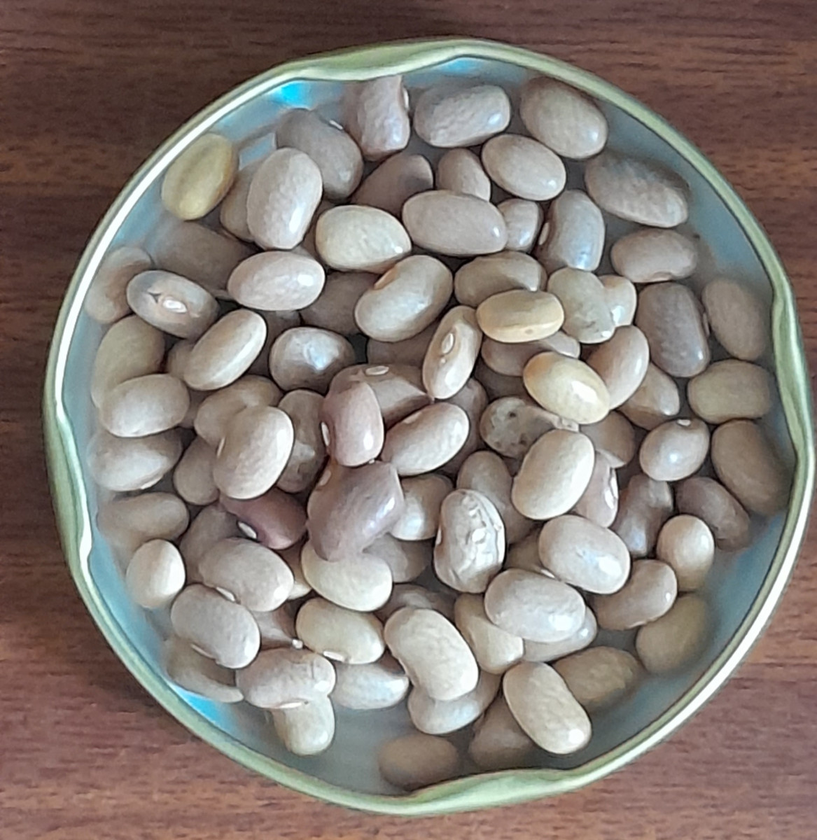 Bean-Nech-Boloke-©GPDA-Ethiopia Bean-Nech-Boloke-©GPDA-Ethiopia
