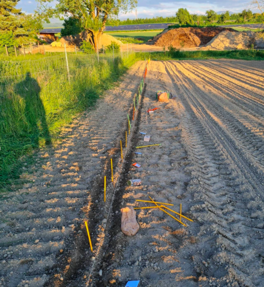 Bean-Pole-bean-variety-trial-in-Freiburg-2d-©Nicolas-Carton-@lumineuses_div Bean-Pole-bean-variety-trial-in-Freiburg-2d-©Nicolas-Carton-@lumineuses_div