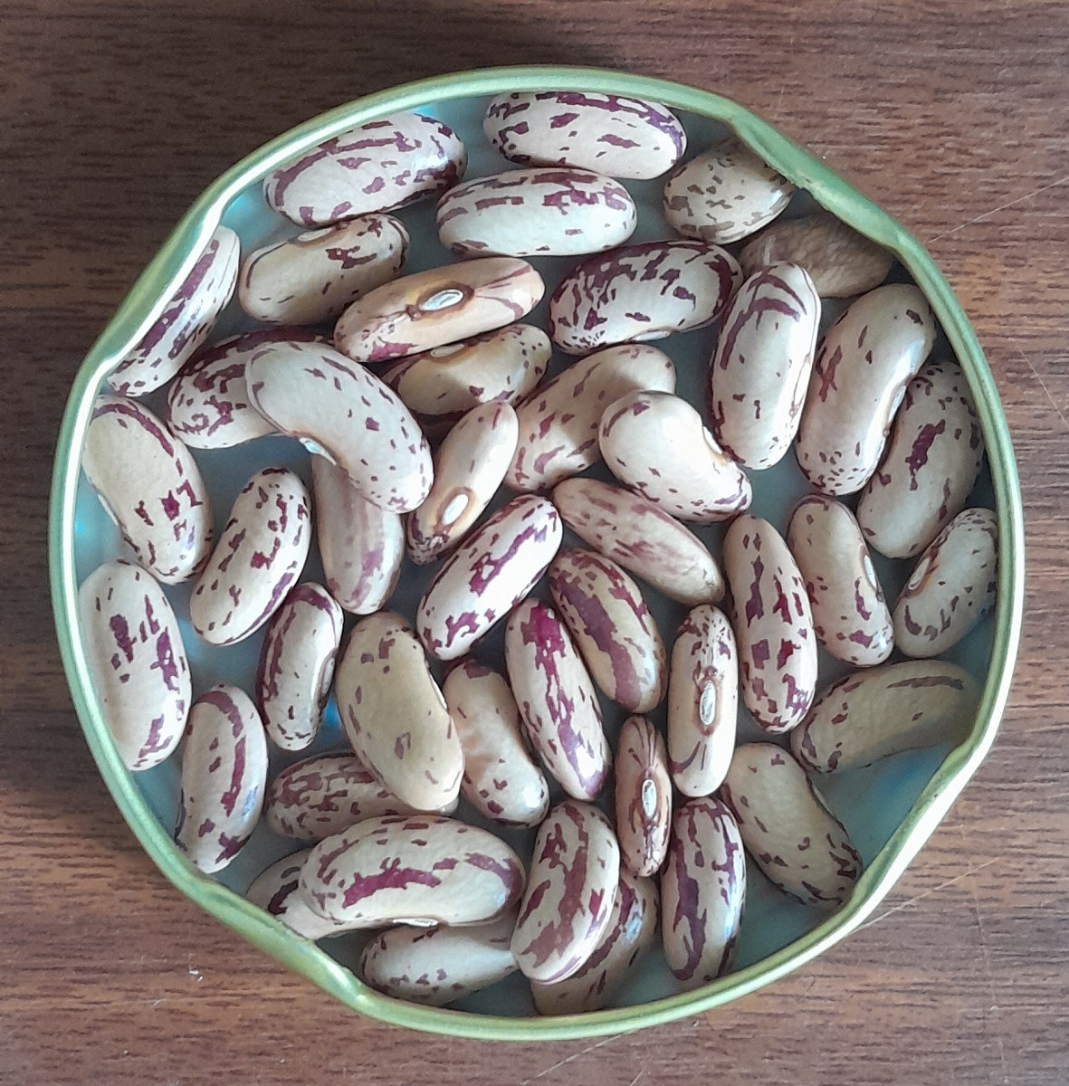 Bean-Shingurgur-Adenguware-©GPDA-Ethiopia Bean-Shingurgur-Adenguware-©GPDA-Ethiopia