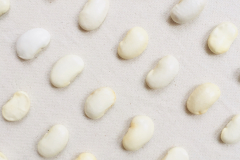 Bean-White-jumbo-beans-©Lena