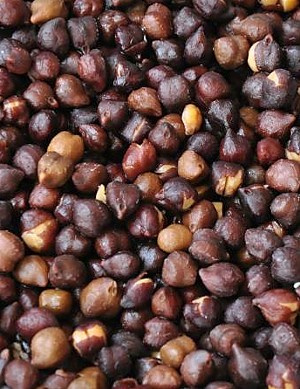 Chickpea-Black-Ceci-Neri-chickpea-seeds©Bernd-Socher Chickpea-Black-Ceci-Neri-chickpea-seeds©Bernd-Socher