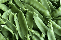 Pea-Sugar-snap-pea-pods-©Tiny-Farms-small