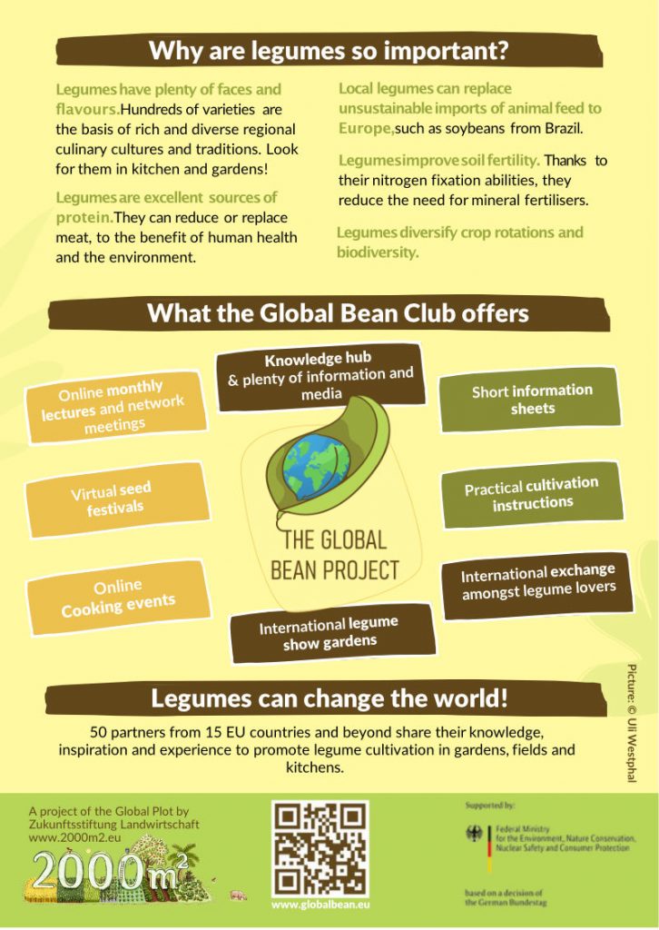 Global Bean flyer