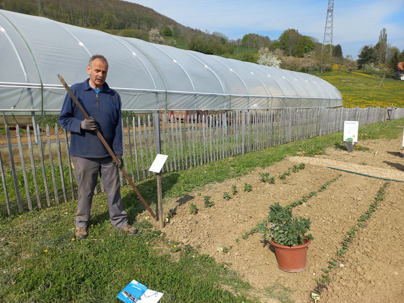 Faba-bean-Gardener-Peter-with-the-first-FavaBeans-©Global-Field-Attiswil