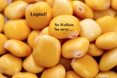 Lupine-Lupini-bean-seeds-©Brian-Fitzgerald