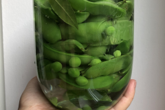 Pea-Peas-and-pods-in-a-jar-©Elisabeth-Berlinghof-Tiny-Farms